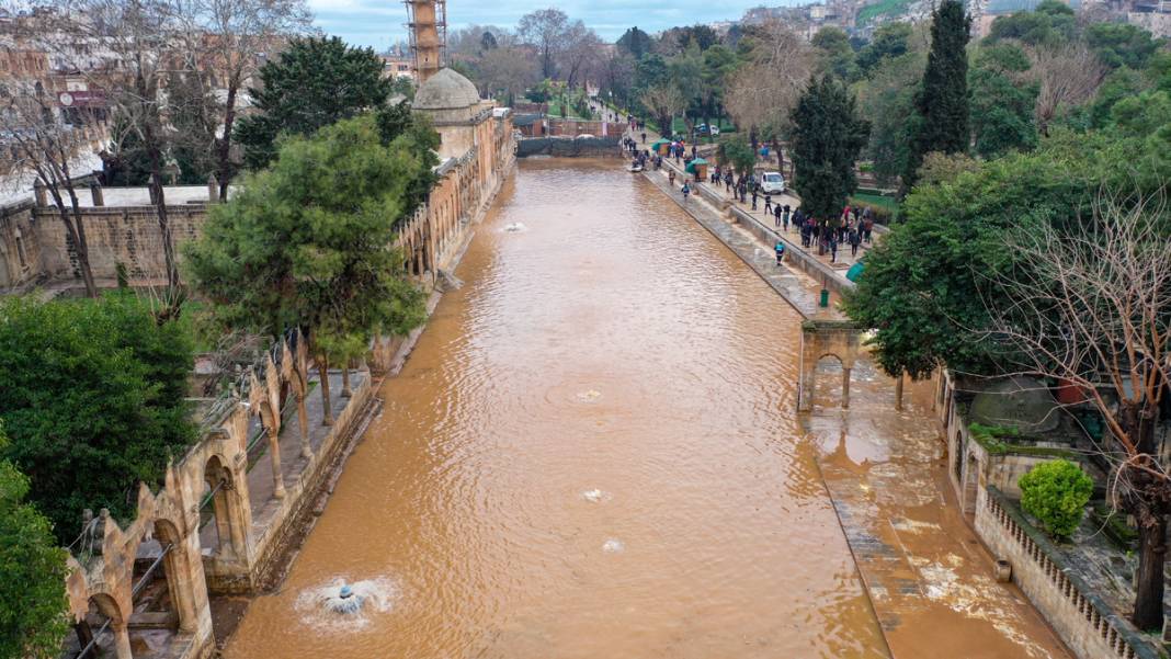 Taşkın yaşanan Balıklıgöl'de sular çekildi: Balıklara ne oldu? 1