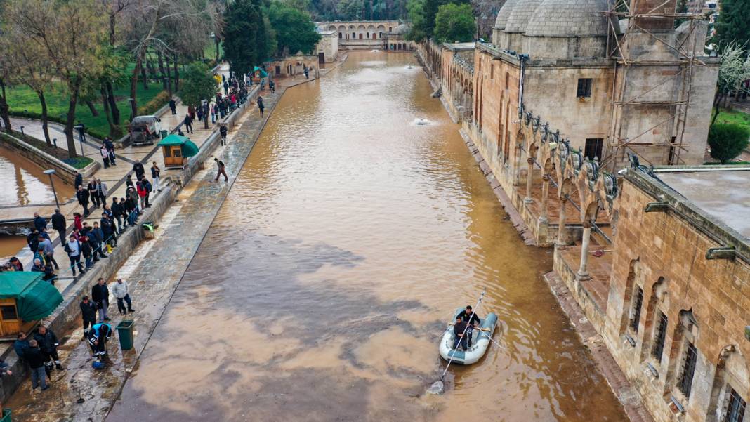 Taşkın yaşanan Balıklıgöl'de sular çekildi: Balıklara ne oldu? 12
