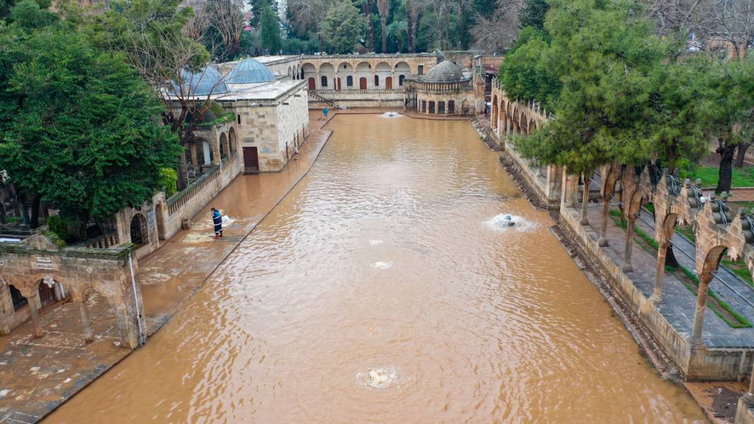 Taşkın yaşanan Balıklıgöl'de sular çekildi: Balıklara ne oldu? 11