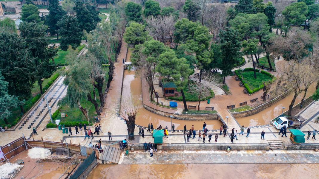 Taşkın yaşanan Balıklıgöl'de sular çekildi: Balıklara ne oldu? 9