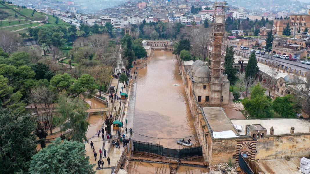 Taşkın yaşanan Balıklıgöl'de sular çekildi: Balıklara ne oldu? 8