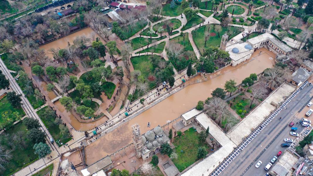 Taşkın yaşanan Balıklıgöl'de sular çekildi: Balıklara ne oldu? 7