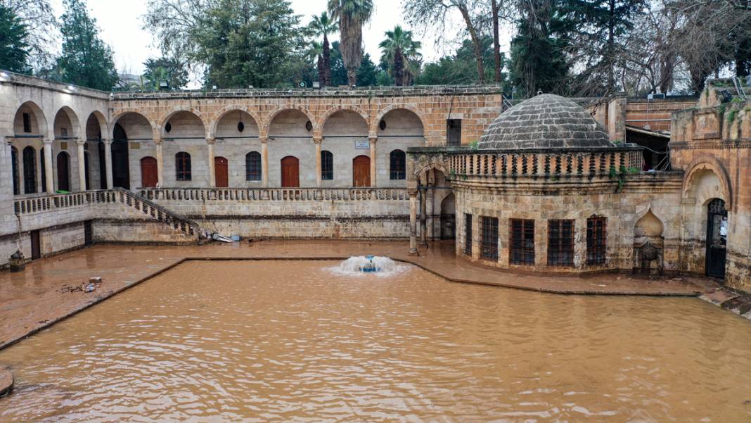 Taşkın yaşanan Balıklıgöl'de sular çekildi: Balıklara ne oldu? 6