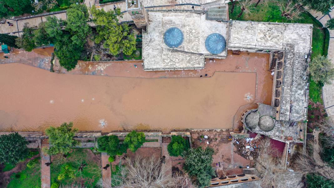 Taşkın yaşanan Balıklıgöl'de sular çekildi: Balıklara ne oldu? 5