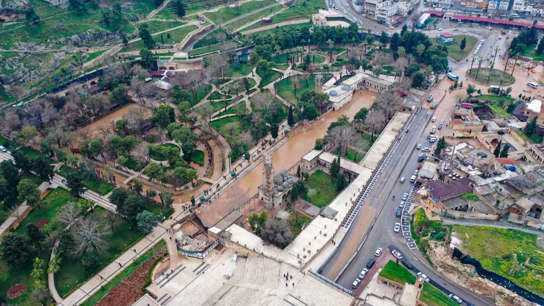 Taşkın yaşanan Balıklıgöl'de sular çekildi: Balıklara ne oldu? 3