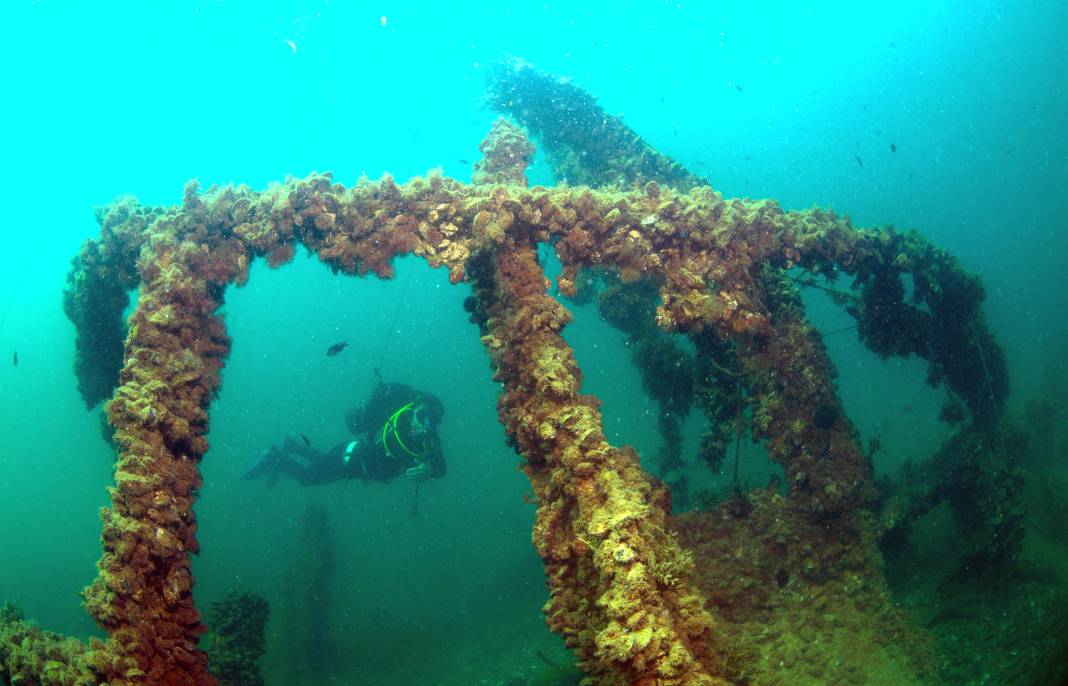Çanakkale Savaşı'ndan kalıntılar görüntülendi: 108 yıllık batık gemiler 1