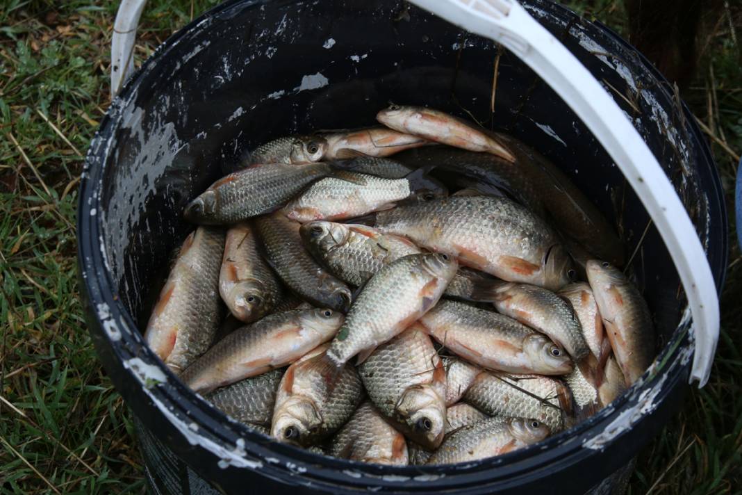 Depremzedeler kovalarla tek tek topladı: Kendilerini unutup onlara koştular 11