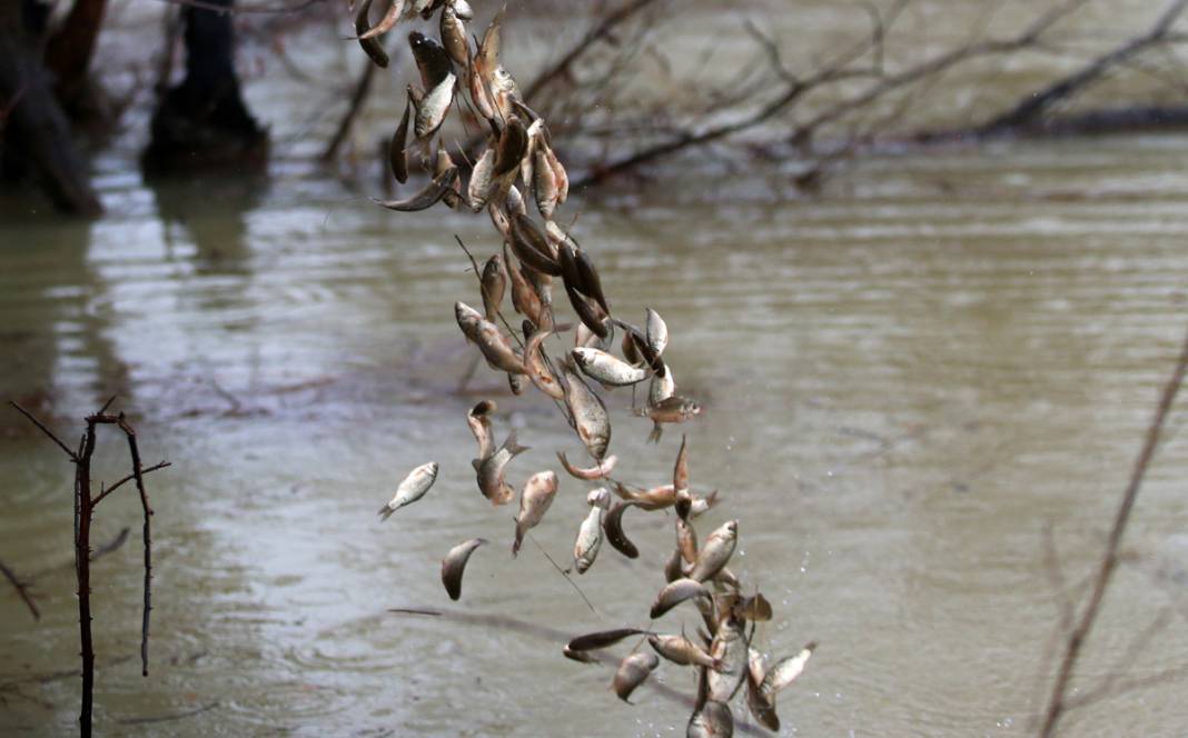 Depremzedeler kovalarla tek tek topladı: Kendilerini unutup onlara koştular 8