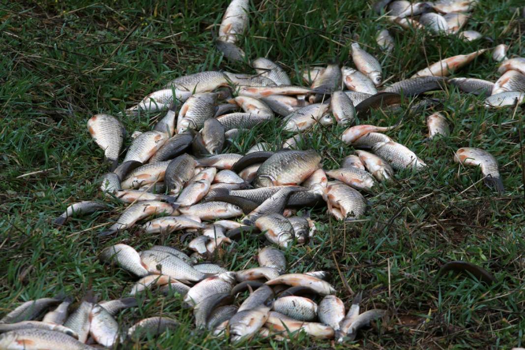 Depremzedeler kovalarla tek tek topladı: Kendilerini unutup onlara koştular 6