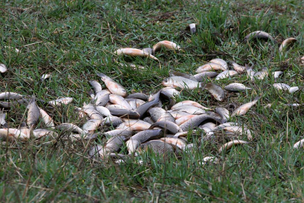 Depremzedeler kovalarla tek tek topladı: Kendilerini unutup onlara koştular 1