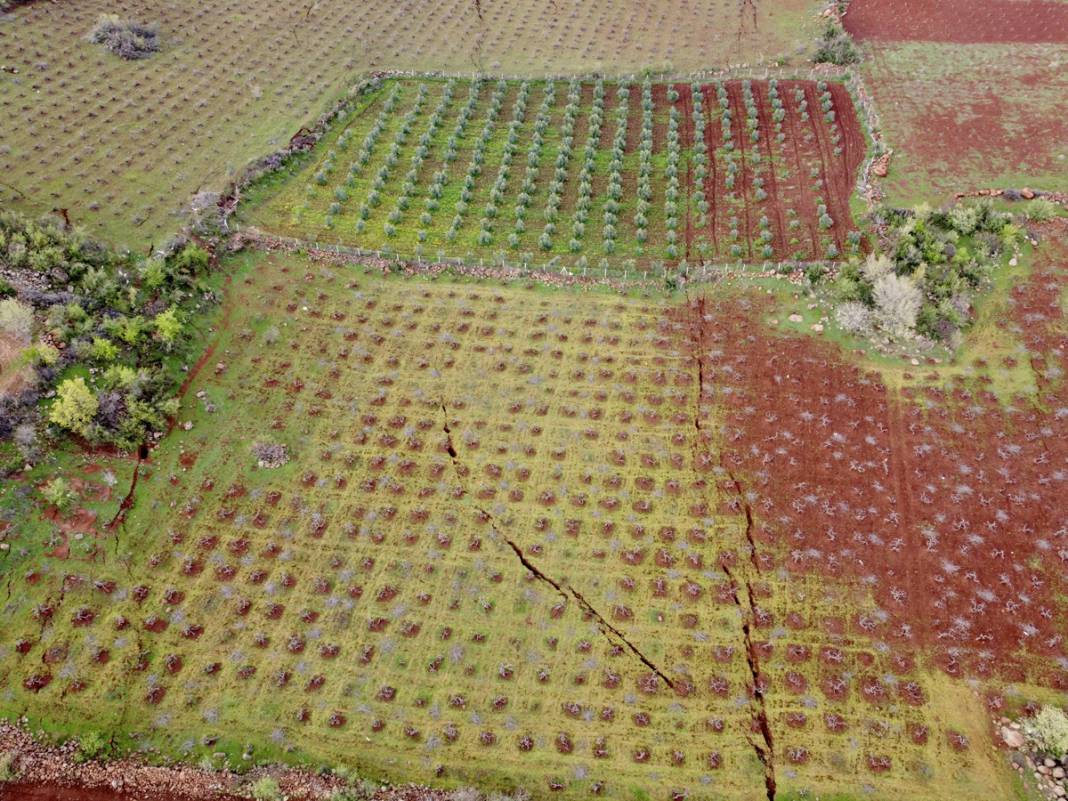 Felaket ne bazalt taşı ne de kaya dinledi 17