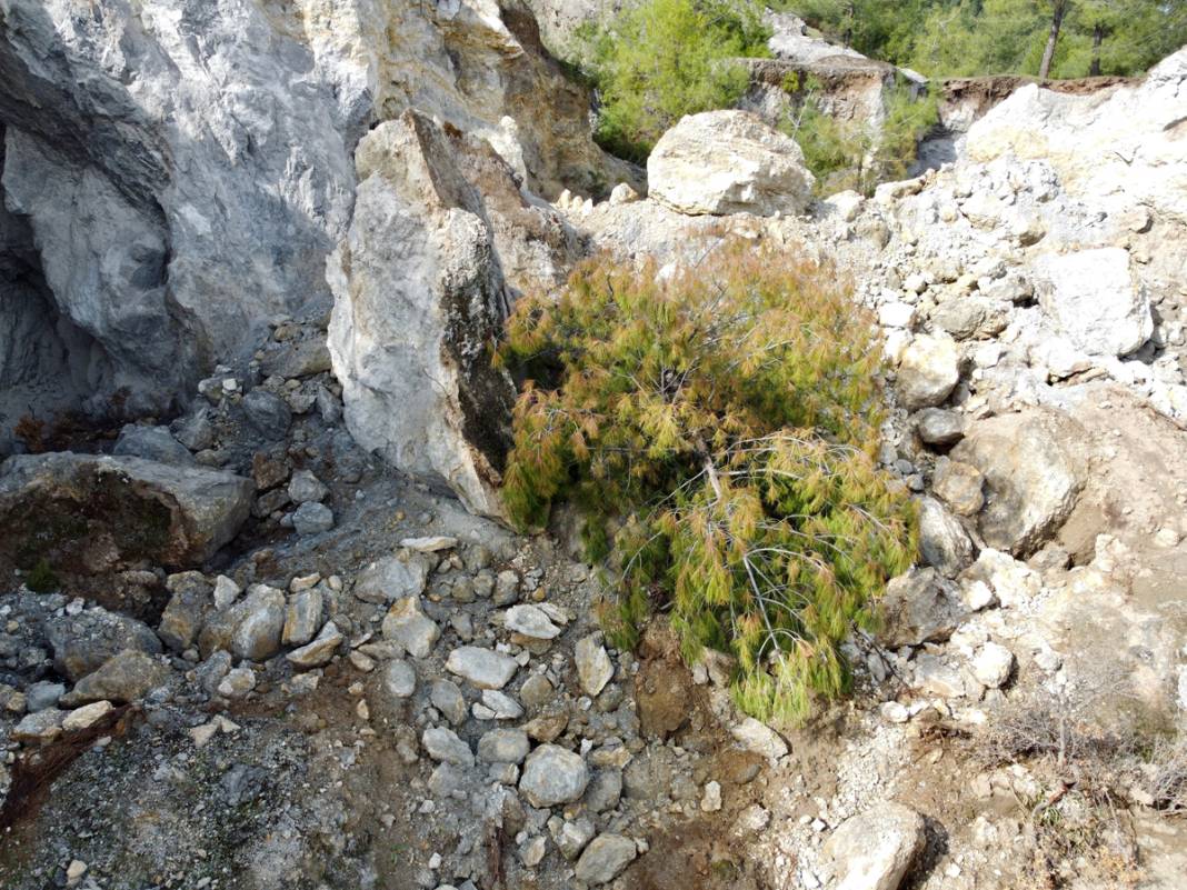 Felaket ne bazalt taşı ne de kaya dinledi 7