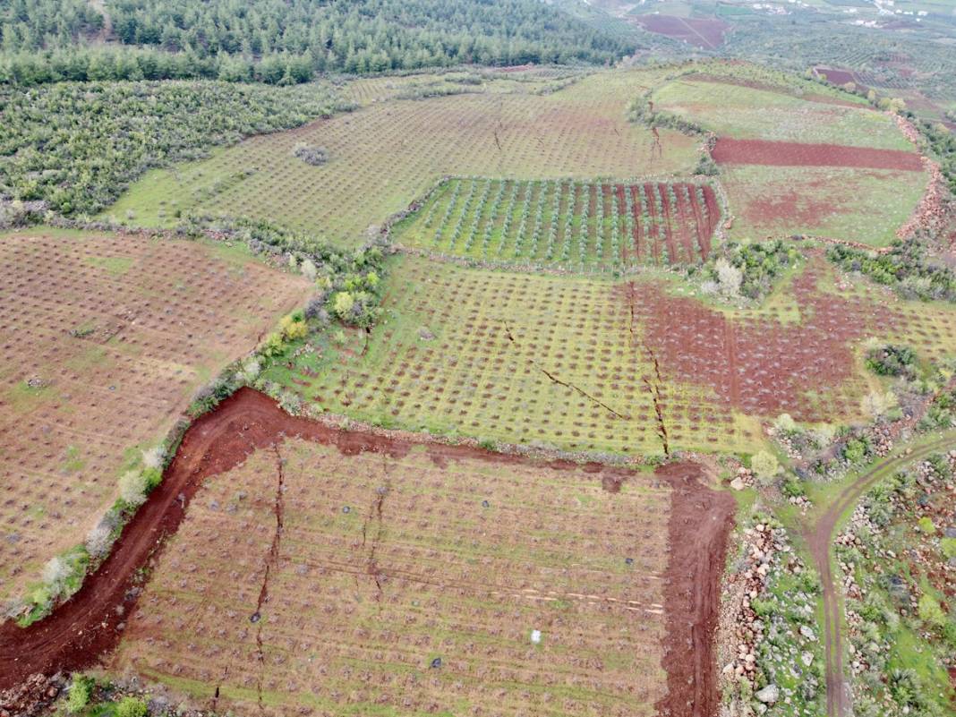 Felaket ne bazalt taşı ne de kaya dinledi 2