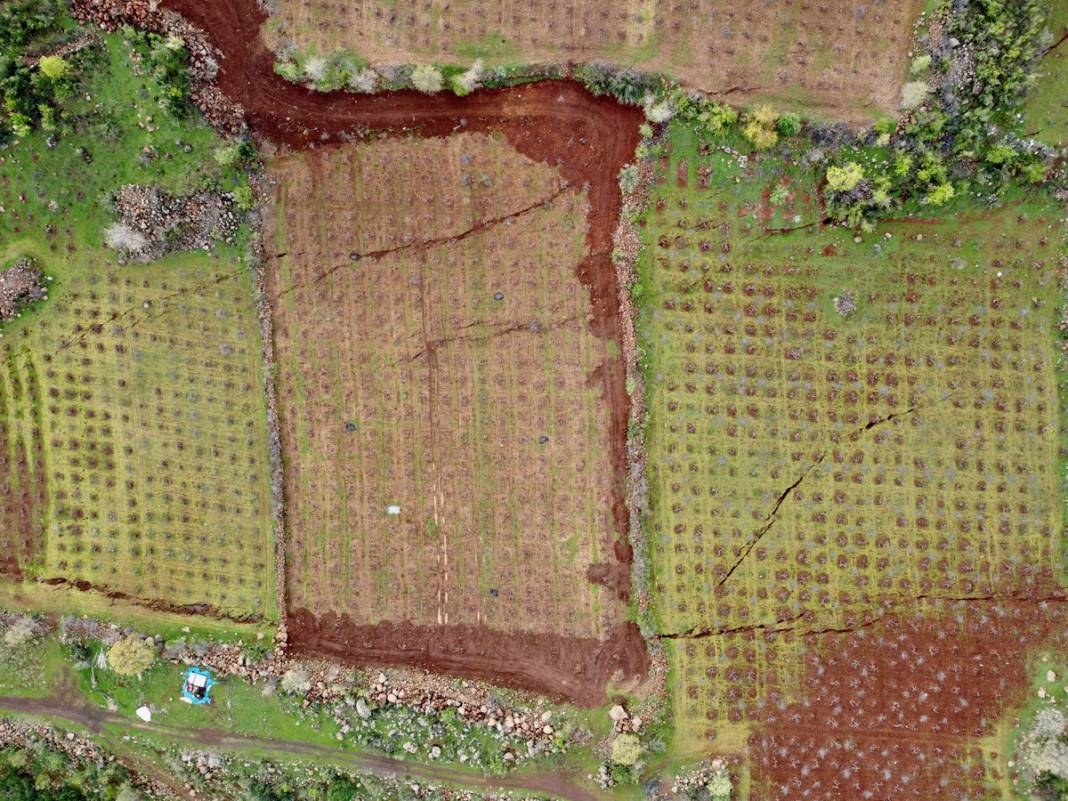 Felaket ne bazalt taşı ne de kaya dinledi 1