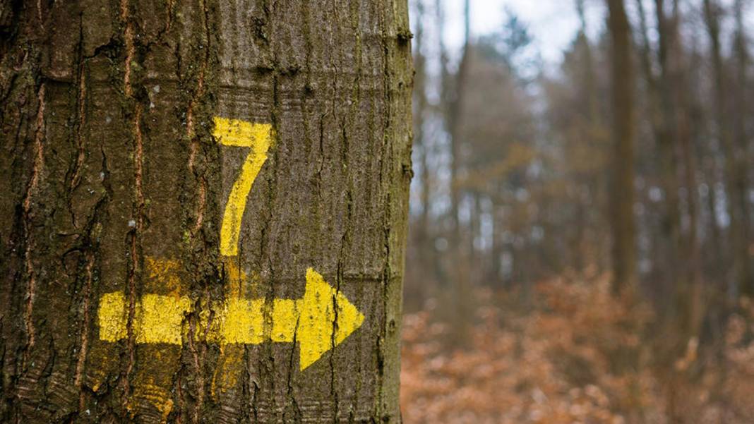 En sevdiğiniz rakama göre siz kimsiniz? Favori numaranız bu kişilik özelliklerini ortaya çıkarıyor! 8