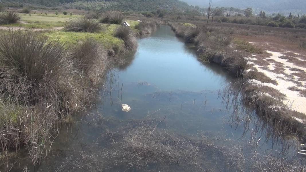 60'tan fazla kuş ve balık türünün eviydi... 'Akdeniz Gölü' artık bataklık 5