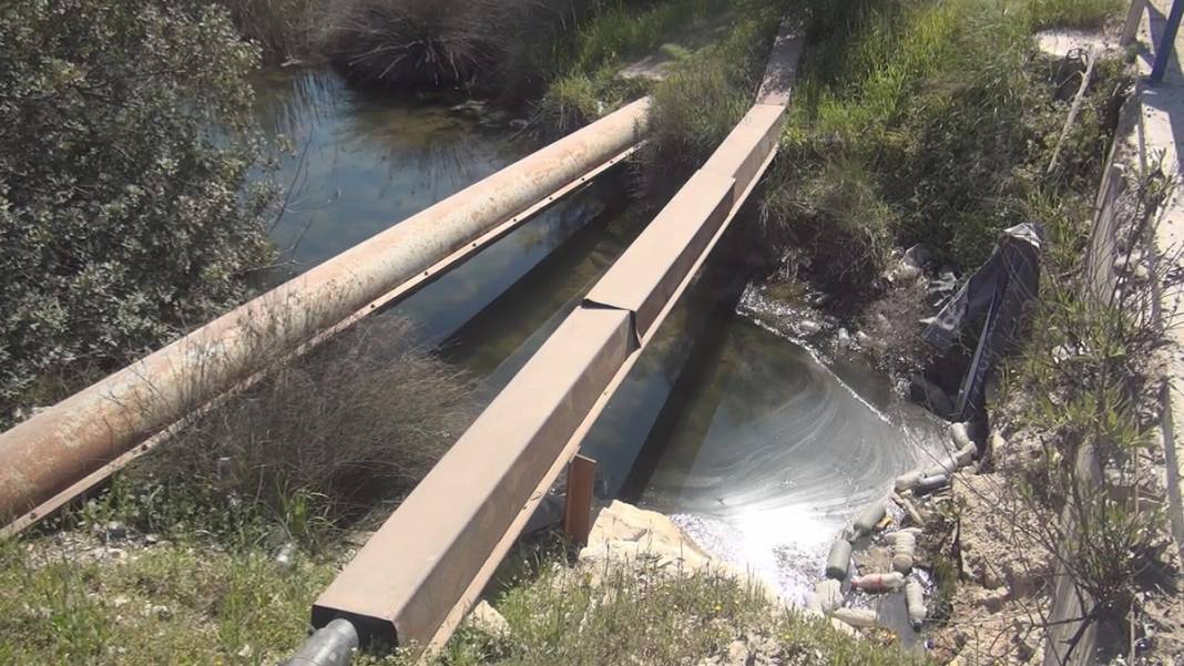 60'tan fazla kuş ve balık türünün eviydi... 'Akdeniz Gölü' artık bataklık 4