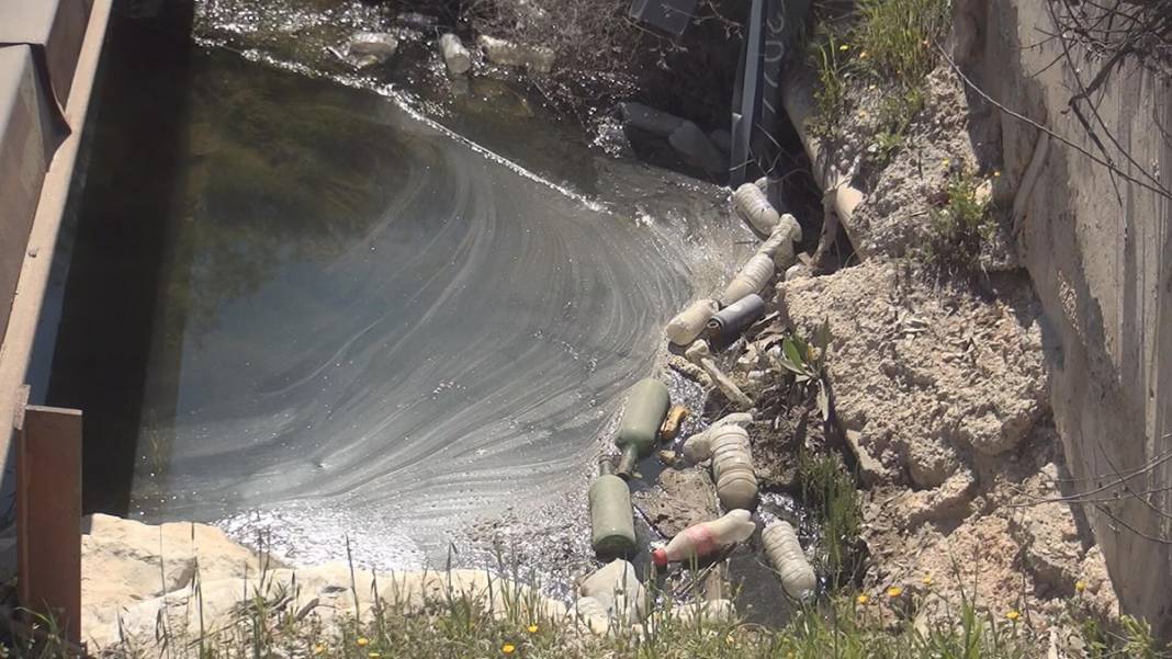 60'tan fazla kuş ve balık türünün eviydi... 'Akdeniz Gölü' artık bataklık 3