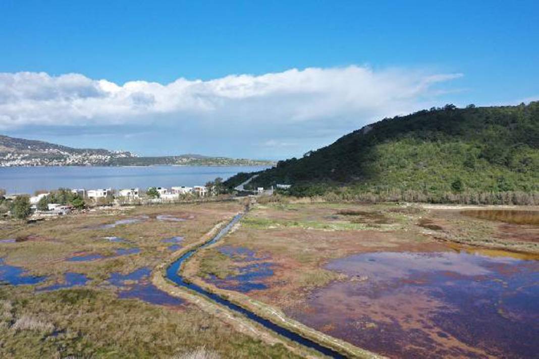 60'tan fazla kuş ve balık türünün eviydi... 'Akdeniz Gölü' artık bataklık 1