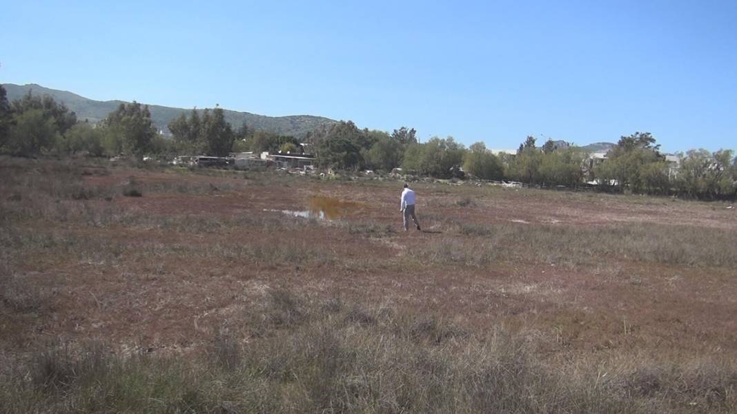 60'tan fazla kuş ve balık türünün eviydi... 'Akdeniz Gölü' artık bataklık 13