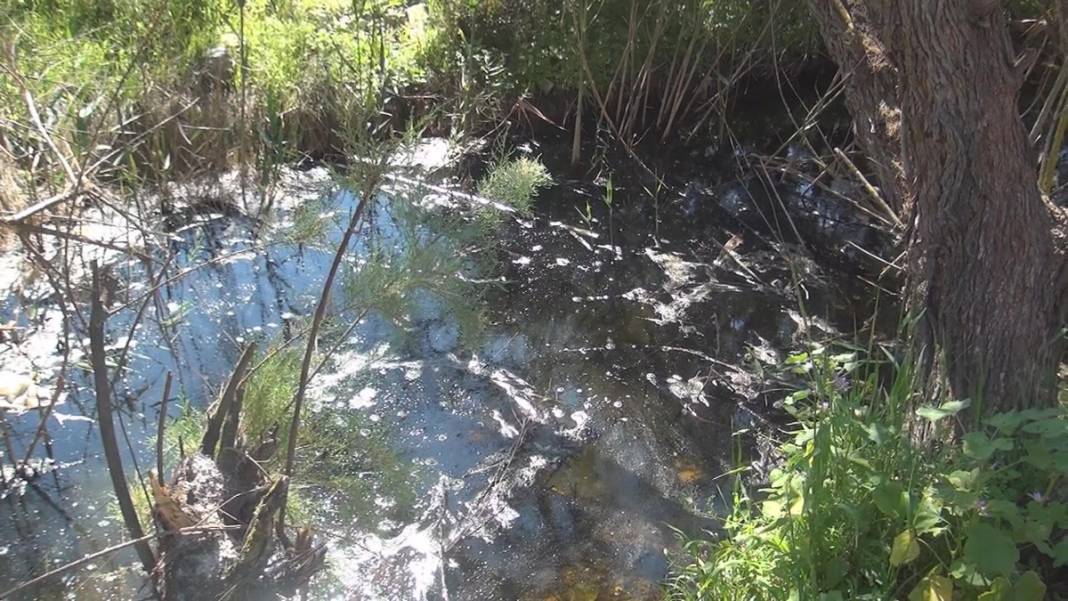 60'tan fazla kuş ve balık türünün eviydi... 'Akdeniz Gölü' artık bataklık 10