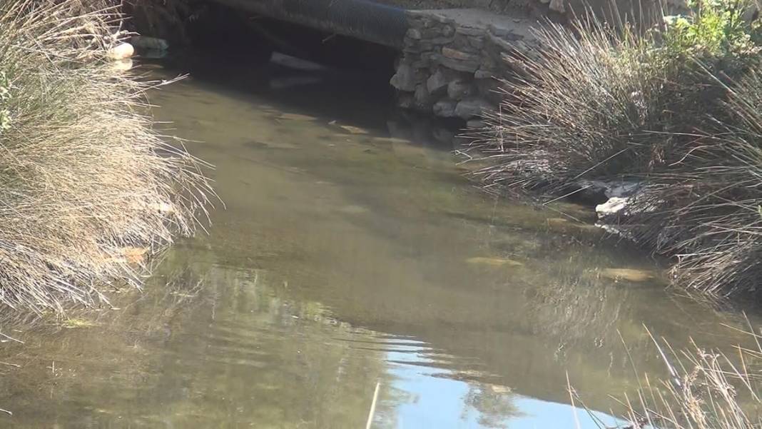 60'tan fazla kuş ve balık türünün eviydi... 'Akdeniz Gölü' artık bataklık 8