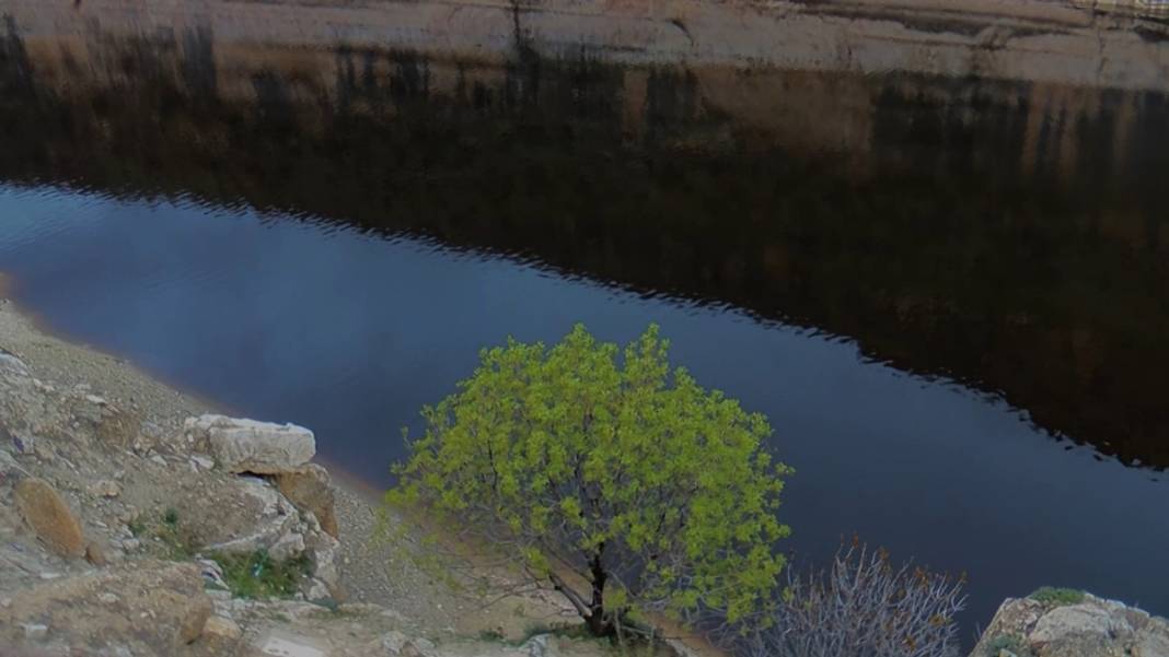 Tedirgin eden manzara! Botan Çayı için 'siyah' alarm 6