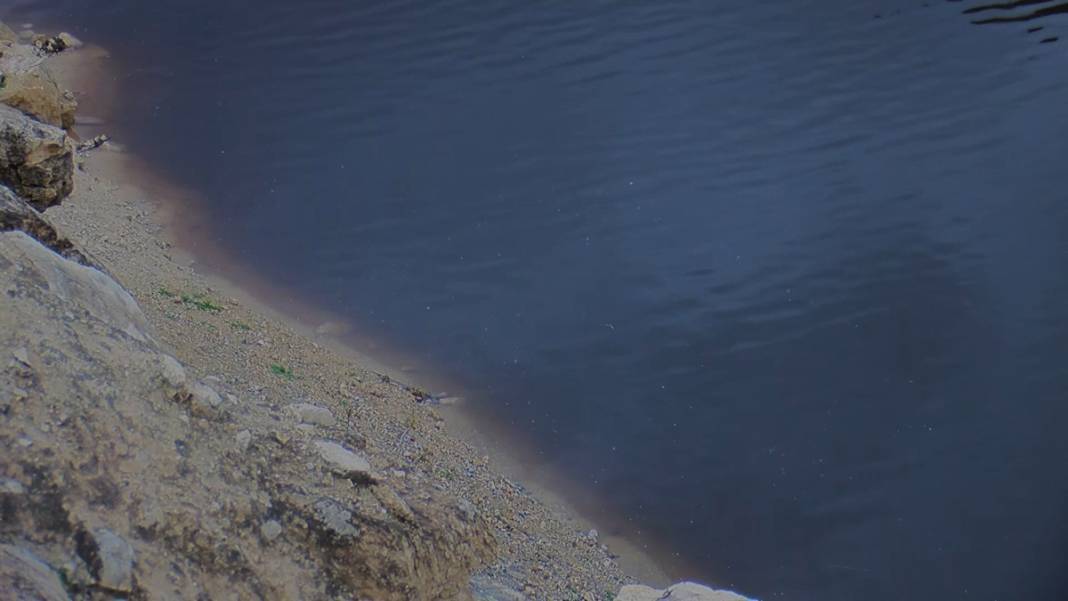 Tedirgin eden manzara! Botan Çayı için 'siyah' alarm 5