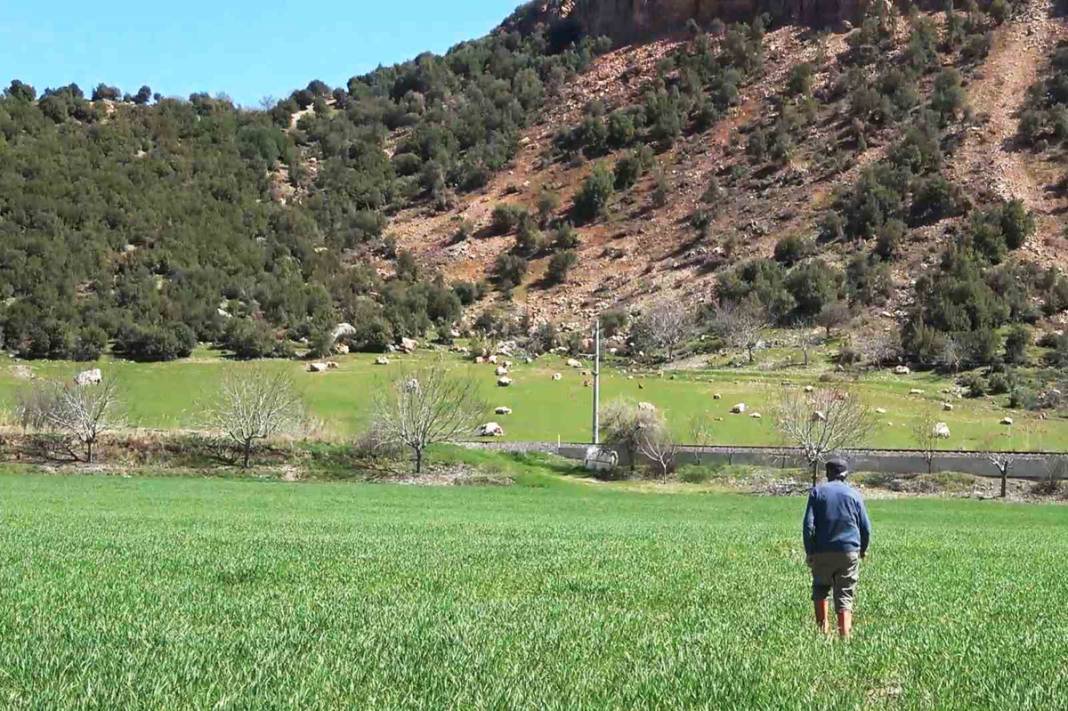 Depremin korkutucu boyutu! Gökten taş yağdı 6