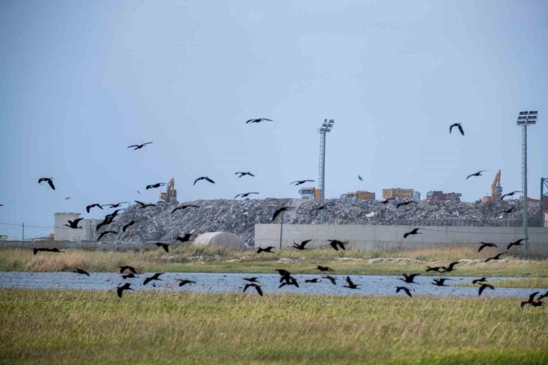 Türkiye'nin kuş cenneti Samandağ'da tepki çeken görüntü: Yıkılan binaların molozları dökülüyor! 6