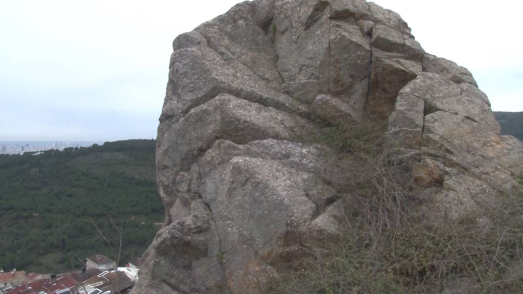 Korkudan sokağa çıkamıyorlar! 'Birisi öldükten sonra mı gelip alacaklar?' 1