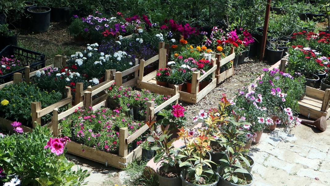 Hataylı çiçekçilerin depremden sonraki zor mesaisi: Sadece mezarlıklara satıyoruz 3