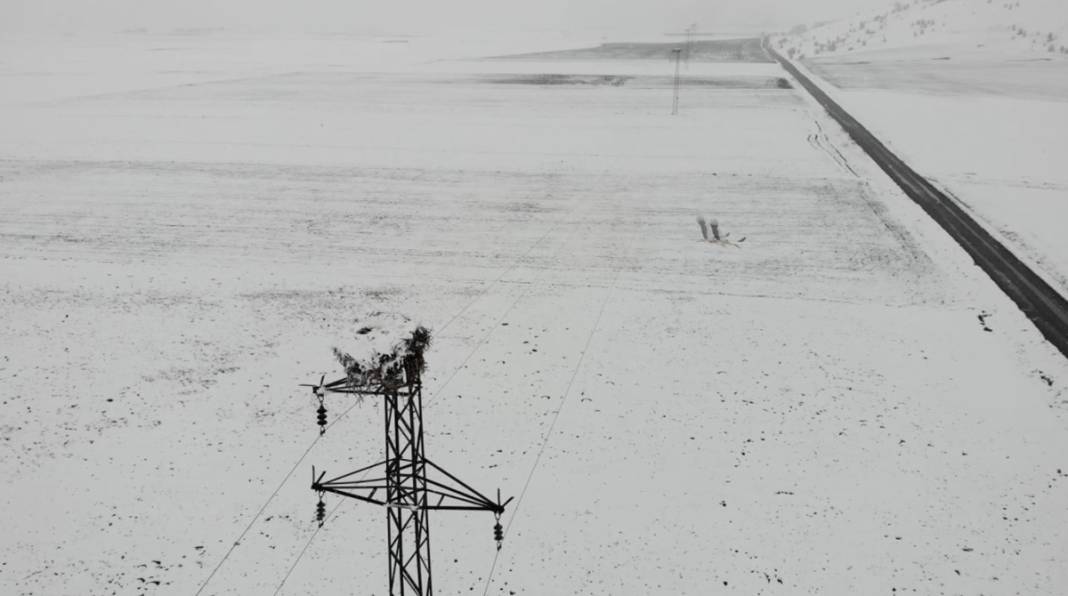 Baharın müjdecisi leyleklere kar sürprizi 2