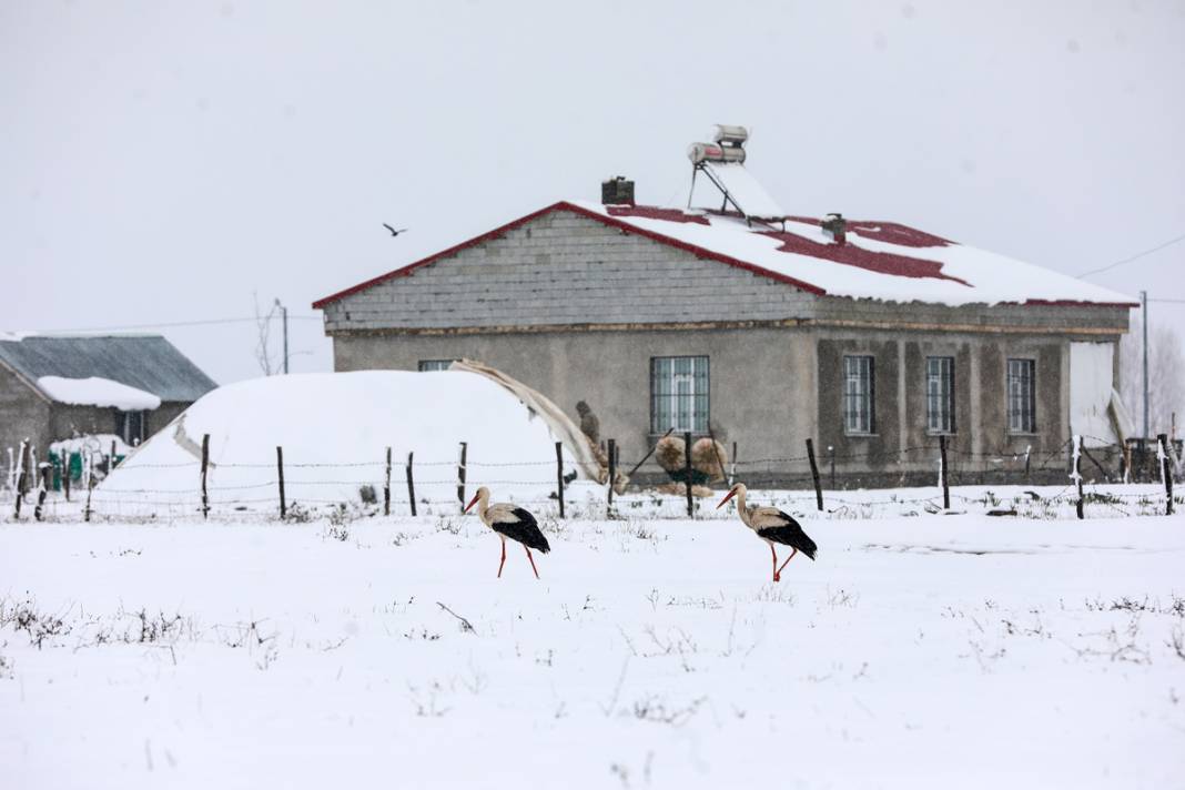 Baharın müjdecisi leyleklere kar sürprizi 7