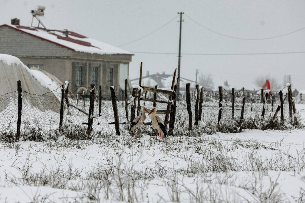 Baharın müjdecisi leyleklere kar sürprizi 6