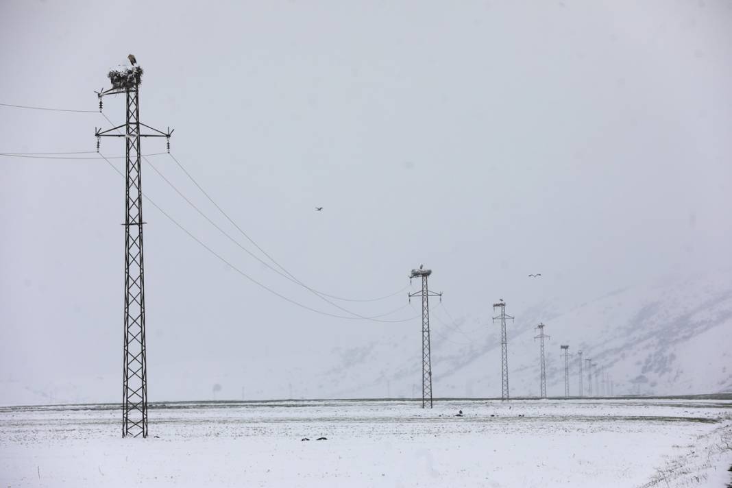 Baharın müjdecisi leyleklere kar sürprizi 4