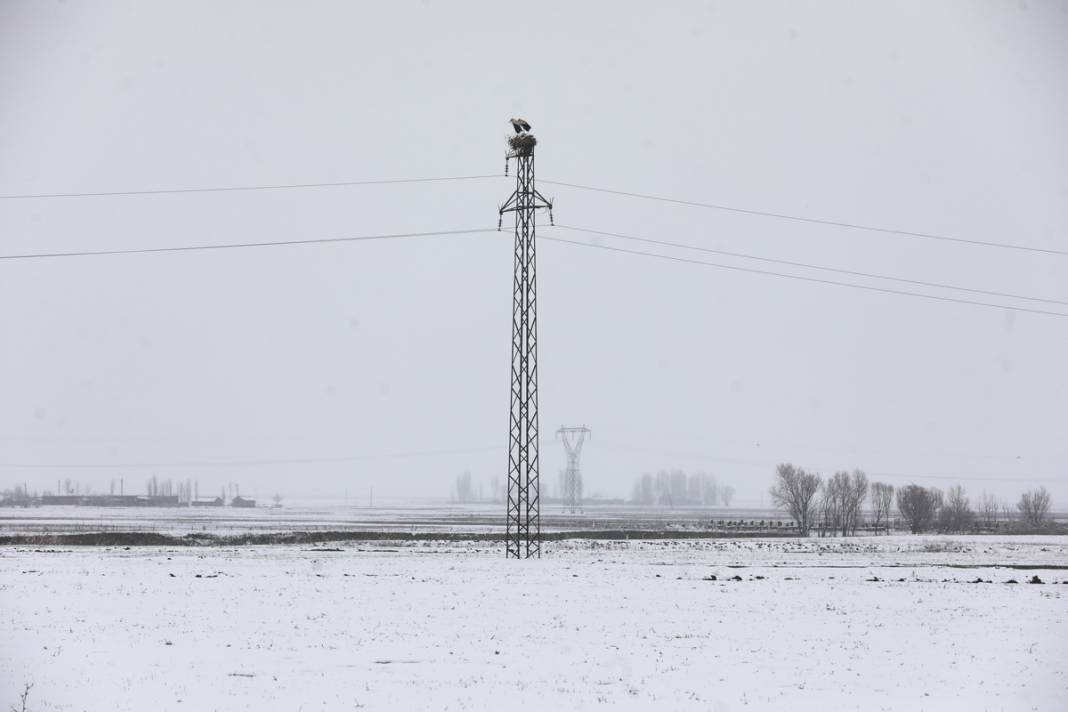 Baharın müjdecisi leyleklere kar sürprizi 1