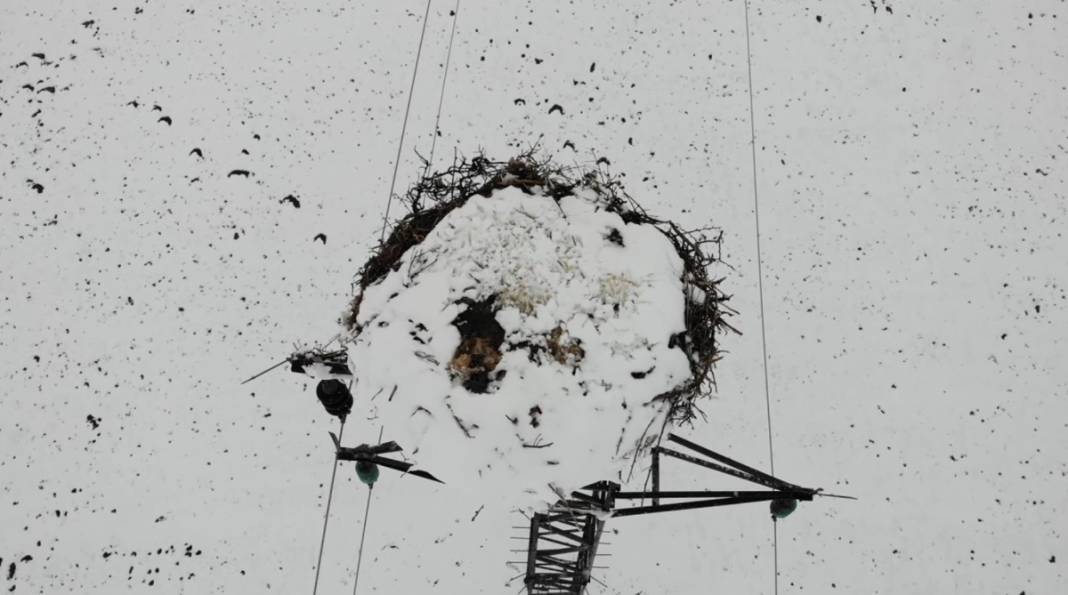 Baharın müjdecisi leyleklere kar sürprizi 3