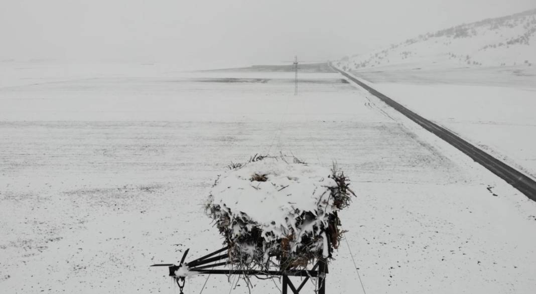Baharın müjdecisi leyleklere kar sürprizi 5