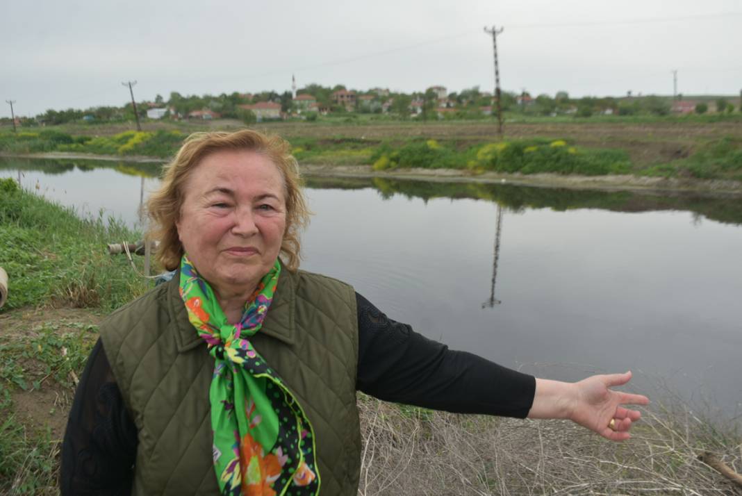Ergene Nehri'nde vahim görüntü! 3. derece kirli çıktı 6