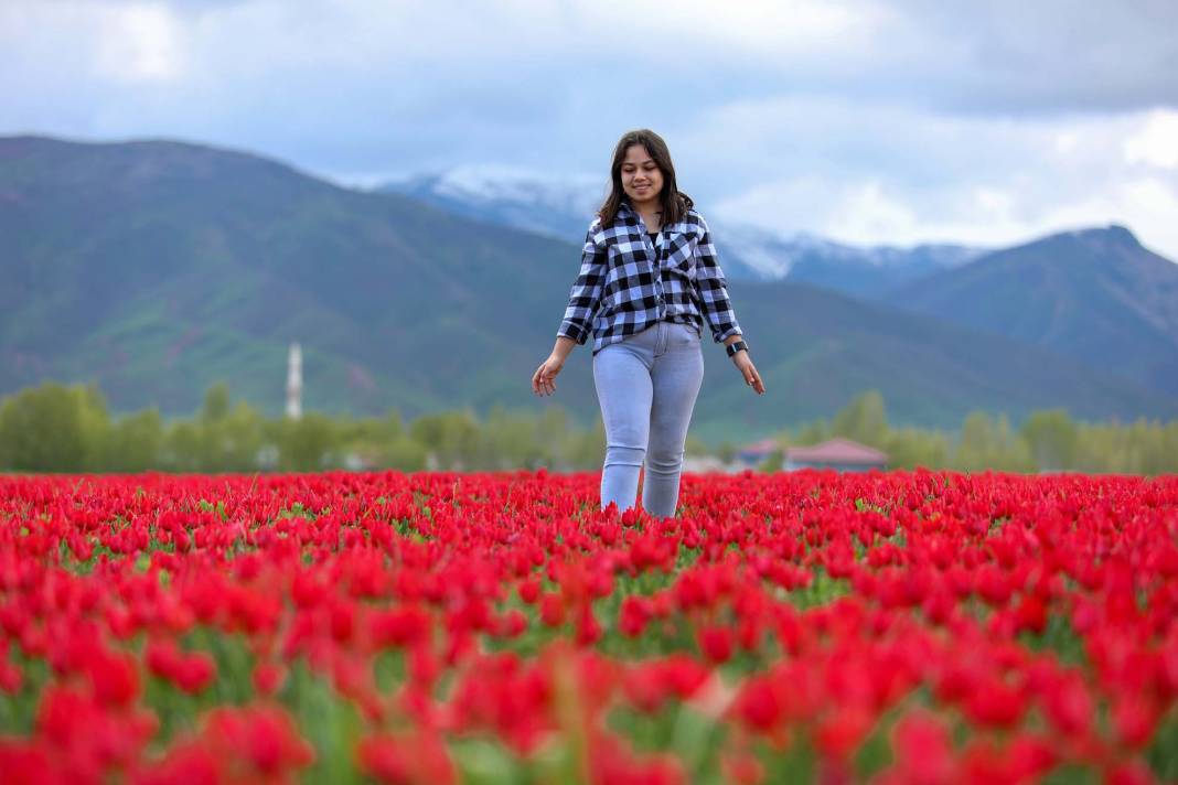 15 günlük lale devrine ziyaretçi akını: Bir yanda karlı dağlar bir yanda bahar 18