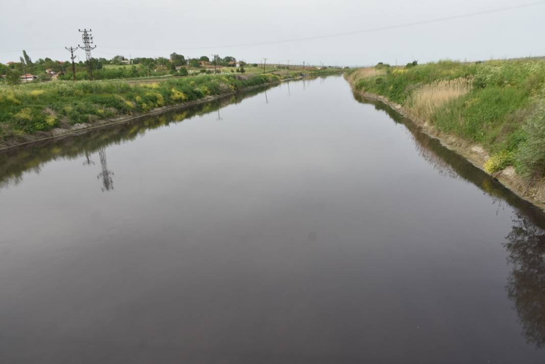 Ergene Nehri'nde vahim görüntü! 3. derece kirli çıktı 10