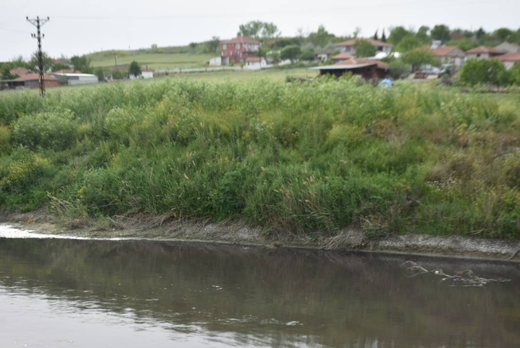 Ergene Nehri'nde vahim görüntü! 3. derece kirli çıktı 1