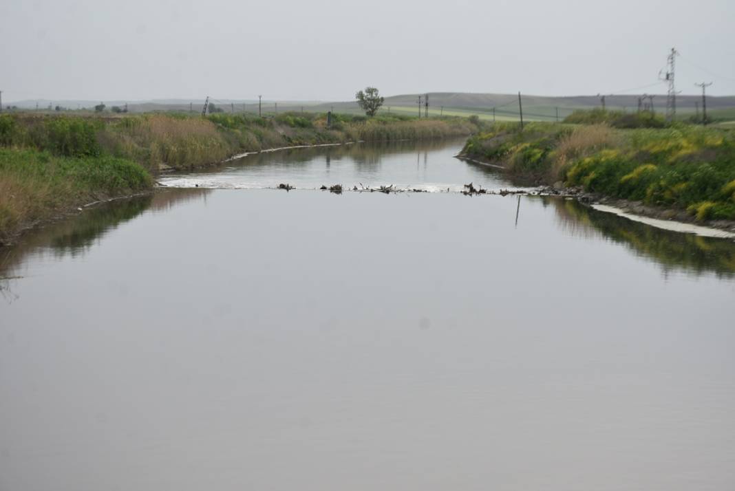 Ergene Nehri'nde vahim görüntü! 3. derece kirli çıktı 9