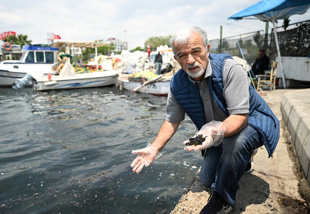 İzmit Körfezi'nde korkutan görüntü! Daha da şiddetlenecek 8