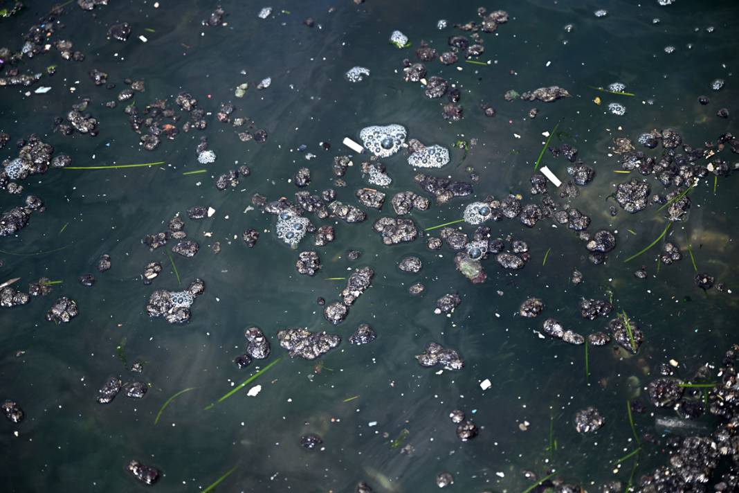 İzmit Körfezi'nde korkutan görüntü! Daha da şiddetlenecek 3