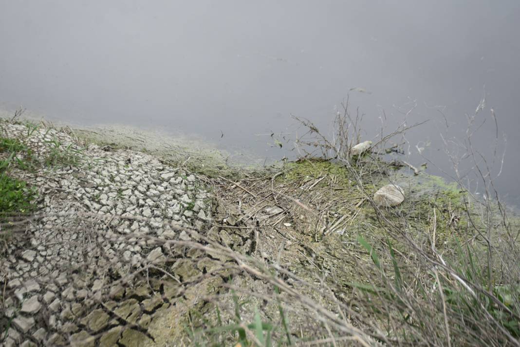 Ergene Nehri'nde vahim görüntü! 3. derece kirli çıktı 7