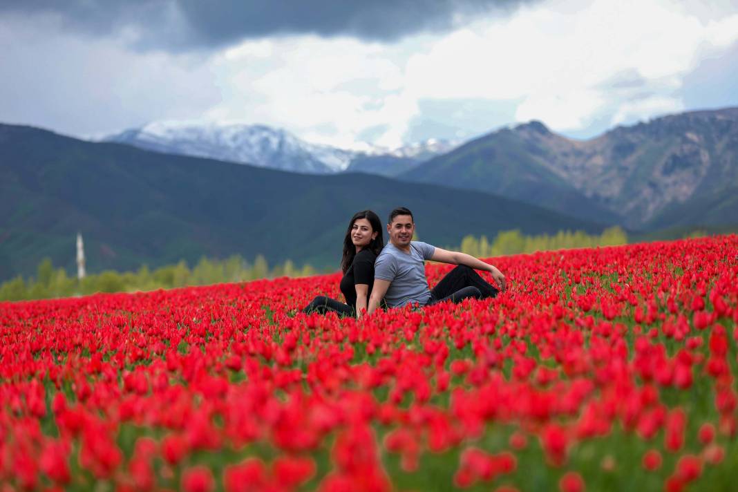 15 günlük lale devrine ziyaretçi akını: Bir yanda karlı dağlar bir yanda bahar 13