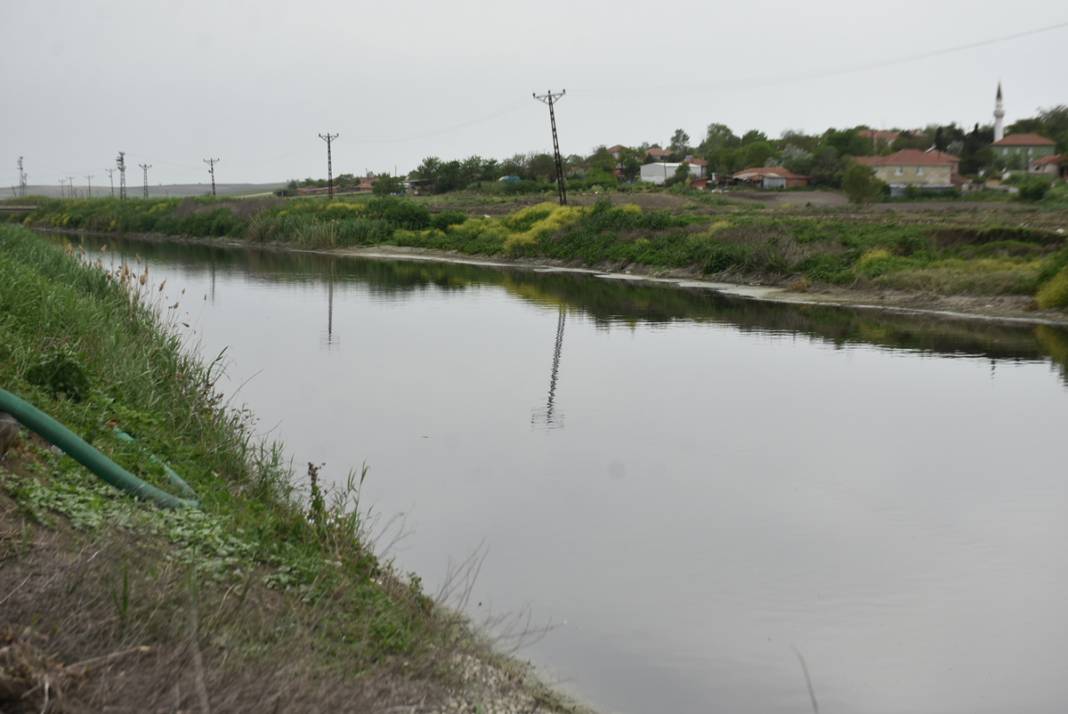 Ergene Nehri'nde vahim görüntü! 3. derece kirli çıktı 5