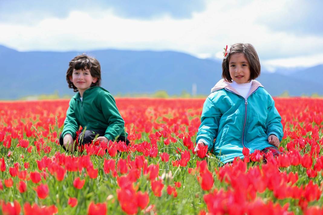 15 günlük lale devrine ziyaretçi akını: Bir yanda karlı dağlar bir yanda bahar 14